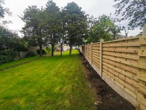 Garden boundary fence