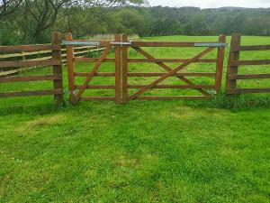 Field gate and fencing